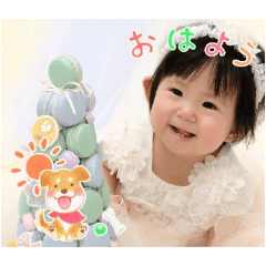 shiho_20250202171630