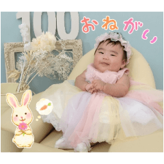taro_20250202145801
