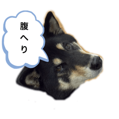 Non_20250202181428