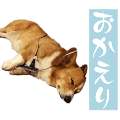Na_20250202180746