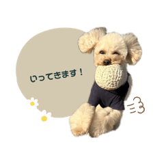 tom_20250202173222