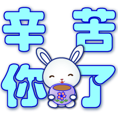 Cute little white rabbit- Useful phrases