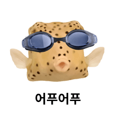 BOX FISH DOKI 2