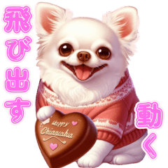 Chihuahua Valentine chocolate