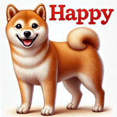 My Beloved Shiba Inu