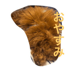 K-kun_20250202190915