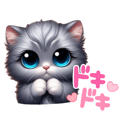 fluffy gray cute cat