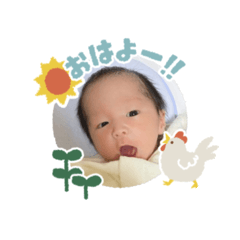 hazu_20250202163120
