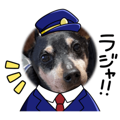 haruka_20250202203532