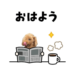 HAPPY_20250202145510