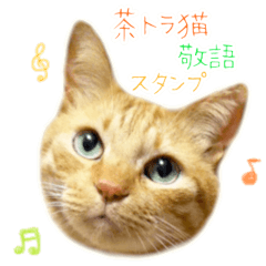 Red tabby cat , greeting sticker.