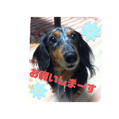 SAKURAKO_20250202175451