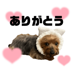 yuri_20250202180046