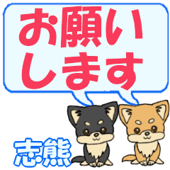 Shikuma's letters Chihuahua2