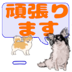 Ichi's letters Chihuahua (3)