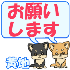 Ouchi's letters Chihuahua2