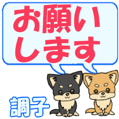 Choushi's letters Chihuahua2