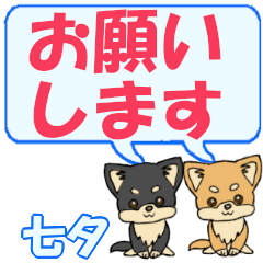 Tanabata's letters Chihuahua2