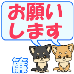 Sudare's letters Chihuahua2