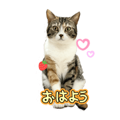 yuka_20250202181333