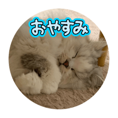 daifuku_20250202205241