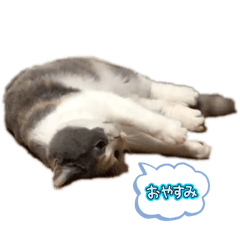 non_20250202205839