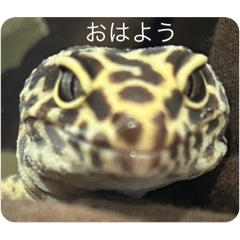 mu_20250202210235
