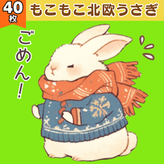 Fluffy Nordic Bunny