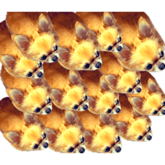 haaaa!_20250202200647