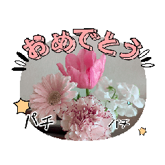 hana_20250203121236