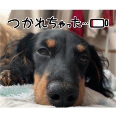 kanako_20250202223004