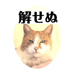 akiko_20250202232247