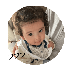shin_20250202232401