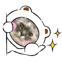 imacoco_20250202211323