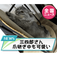Yuki_20250202212144