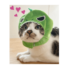 mochi_20250203082850