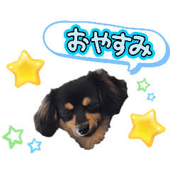 haruka_20250203094557
