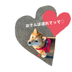hana_20250202233859