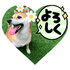 hana_20250202235443