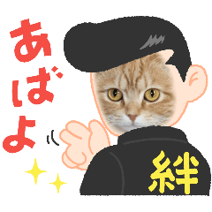tomomi_20250203104227