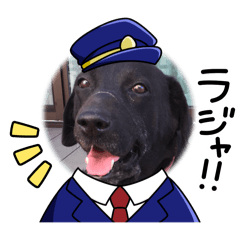 Sumire_20250202213758