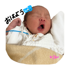 myra_20250202213315