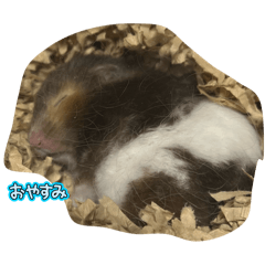 yi_20250203125527