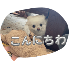saya_20250202220446