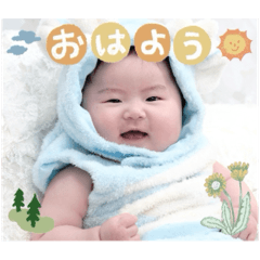 Hachi_20250202224458