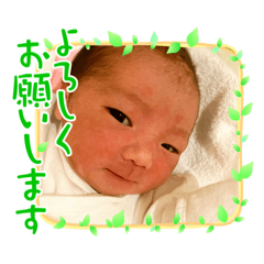 Tom_20250202223517