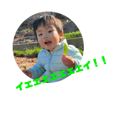 ruru_20250203123637