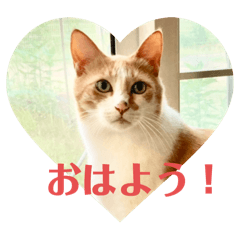 akiko_20250203073536