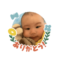 Hikari_20250203115330