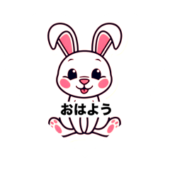 RINA_20250202204716